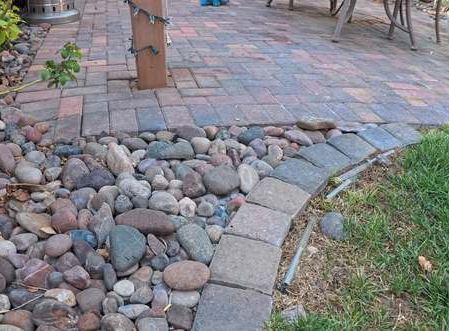 Clean Las Vegas yard after a Poop Scoop Dude visit