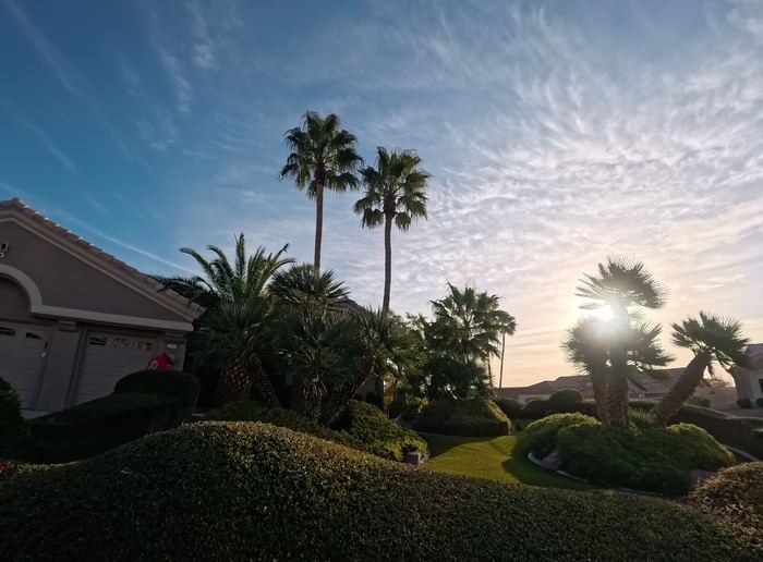 Clean Las Vegas yard after a Poop Scoop Dude visit