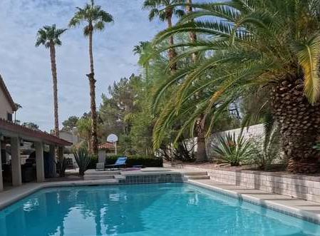 Clean Las Vegas yard after a Poop Scoop Dude visit