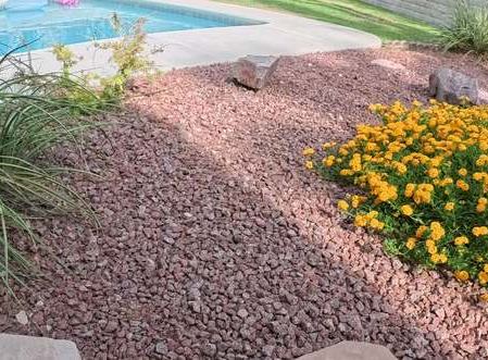 Clean Las Vegas yard after a Poop Scoop Dude visit