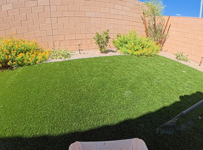 Clean Las Vegas yard after a Poop Scoop Dude visit