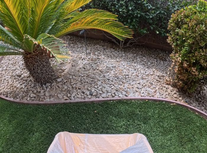 Clean Las Vegas yard after a Poop Scoop Dude visit