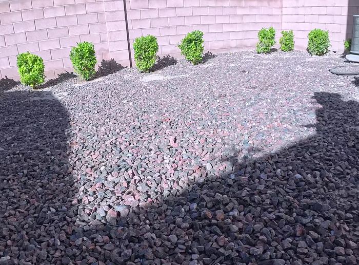 Clean Las Vegas yard after a Poop Scoop Dude visit