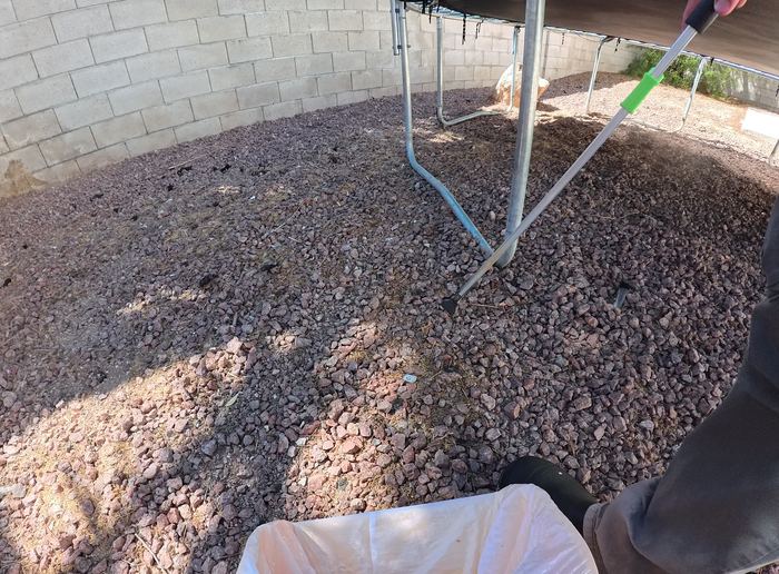 Las Vegas yard before a Poop Scoop Dude cleanup