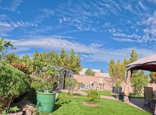 Clean Las Vegas yard after a Poop Scoop Dude visit