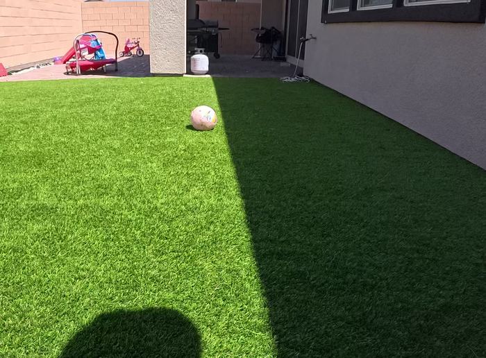 Clean Las Vegas yard after a Poop Scoop Dude visit