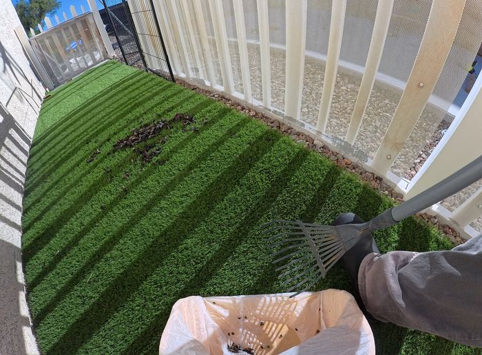 Las Vegas yard before a Poop Scoop Dude cleanup