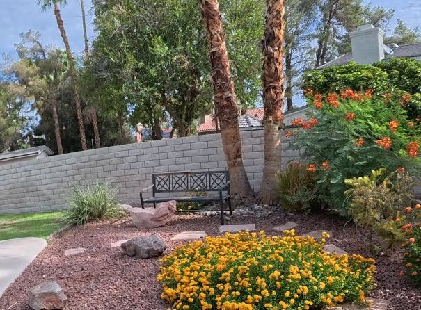 Clean Las Vegas yard after a Poop Scoop Dude visit