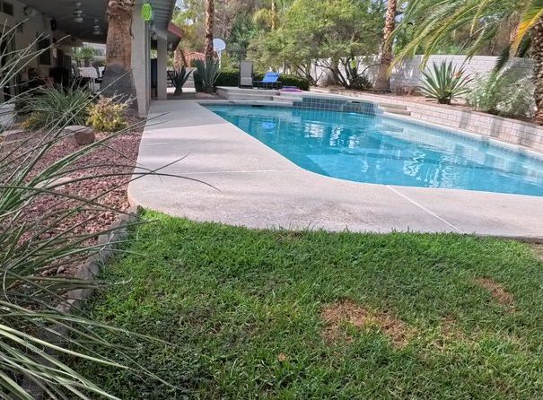 Clean Las Vegas yard after a Poop Scoop Dude visit