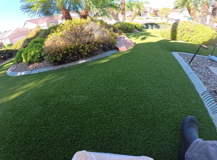 Clean Las Vegas yard after a Poop Scoop Dude visit