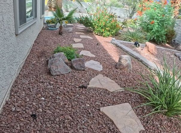 Clean Las Vegas yard after a Poop Scoop Dude visit