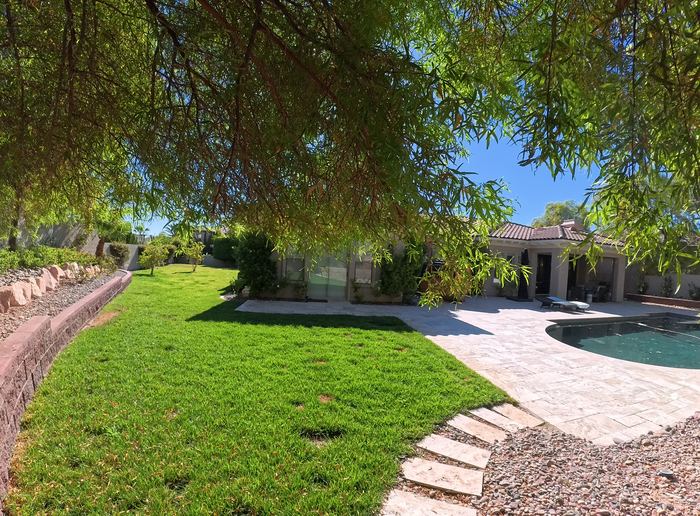 Clean Las Vegas yard after a Poop Scoop Dude visit