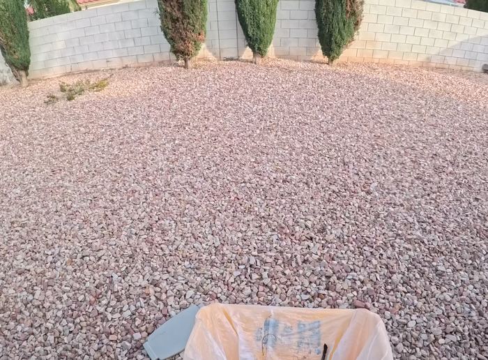Clean Las Vegas yard after a Poop Scoop Dude visit