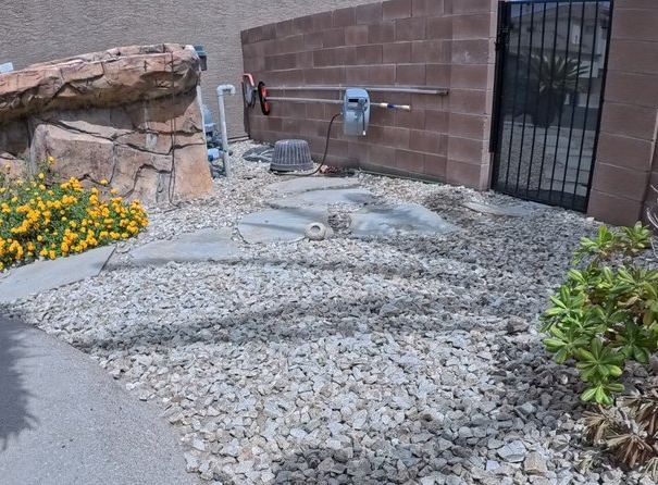 Clean Las Vegas yard after a Poop Scoop Dude visit