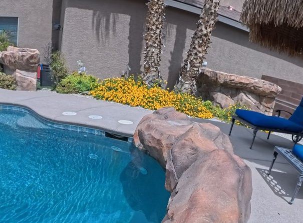 Clean Las Vegas yard after a Poop Scoop Dude visit
