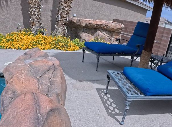 Clean Las Vegas yard after a Poop Scoop Dude visit