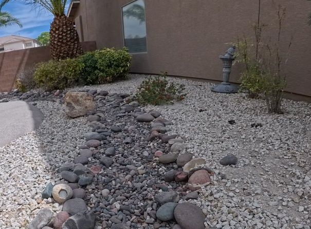 Clean Las Vegas yard after a Poop Scoop Dude visit