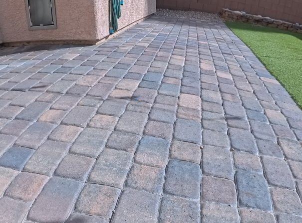 Clean Las Vegas yard after a Poop Scoop Dude visit